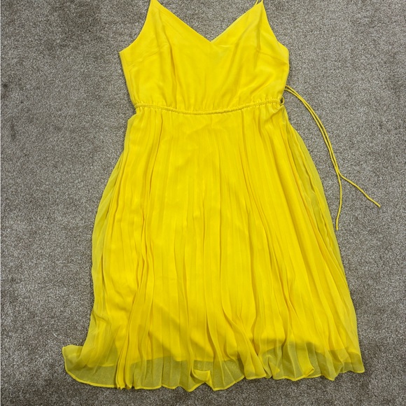 Pleated Cami Midi Dress NWOT - Picture 6 of 6